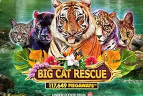 Big Cat Rescue Megaways